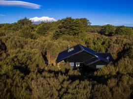 Night Sky Cottage，位于奥阿库尼的木屋