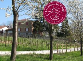 B&BLa collina dei ciliegi，位于Cassano Spinola的酒店