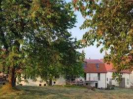 Gut Belgerhof Steinbach Ferienwohnung