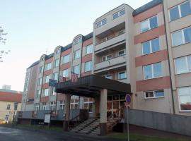 Hotel Bílý Lev，位于罗基察尼的酒店
