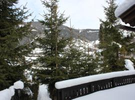 Chalet Heidi BKK，位于巴德小基希海姆的酒店