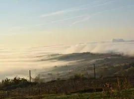 Casuta de pe dealul Seciu