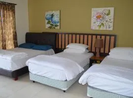 Gold Coast Morib Ain Studio