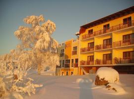 Hotel Zum Dorfwirt，位于利伯瑙的酒店