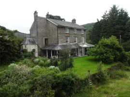 Plas Esgair