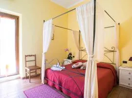 柠檬树住宿加早餐酒店