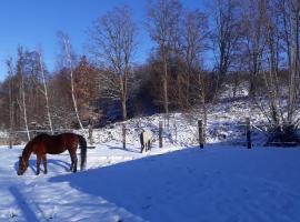 Le Gîte du Cheval Blanc，位于Fraize的公寓