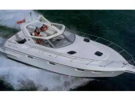 Eden marine