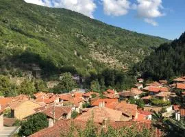 Ambrozia Spa and Relax family house