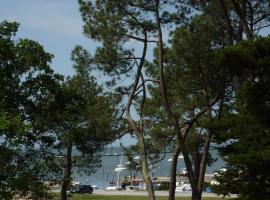 Appartement 2 chambres Bassin d'Arcachon front de mer, plage du Betey，位于安德诺莱斯贝恩的酒店