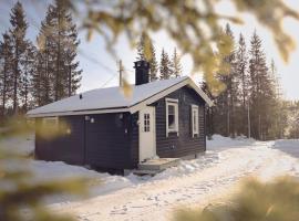 Koselig Hytte i Hemsedal with outdoor Sauna，位于海姆瑟达尔的酒店