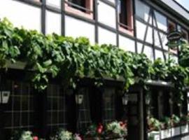 Weingasthaus zum Fährhof，位于维宁根的酒店