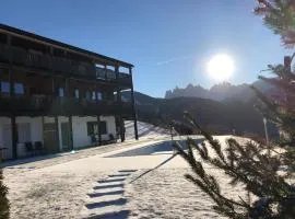 奥伯普兰彻霍夫山区马厩公寓