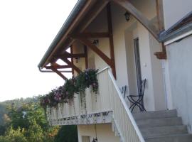 Chambre d'hôtes Champagne Laval Louïs，位于Cumières的酒店