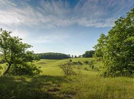 Nengshof Ferienhaus Gänseblümchen