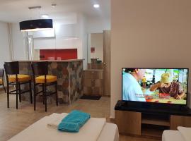 Apartman Simić 2，位于瓦列沃的公寓式酒店