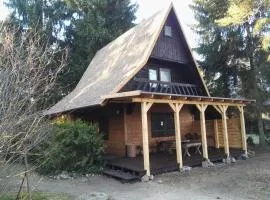 Abies - dom nad Omulewem