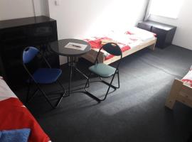 Apartmán pod Mariánskou horou，位于代斯纳的酒店