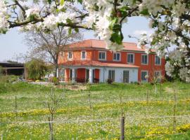 Weinhof am Nussbaum，位于Willanzheim的旅馆