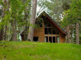 Macdonald Woodland Lodges at Macdonald Aviemore Resort，位于阿维莫尔的酒店