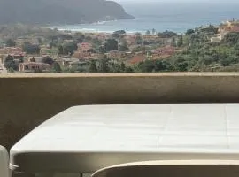 Casa Solanas new