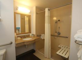 Hampton Inn，位于Owego的酒店