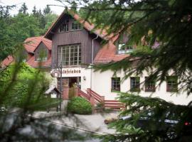 Waldfrieden Waldheim，位于Waldheim的酒店