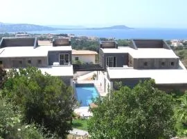 Villa Porticcio - piscine , belle vue mer proche des plages