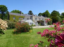 O'Harabrook Country House，位于巴利马尼的住宿加早餐旅馆