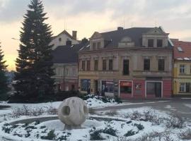 Apartmány Litvínov centrum，位于利特威诺夫的酒店
