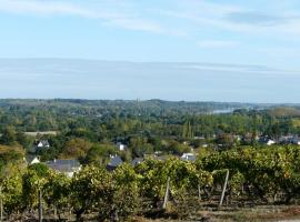 Clos sainte catherine，位于Rochefort-sur-Loire的住宿加早餐旅馆