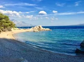 Apartment Martinovic