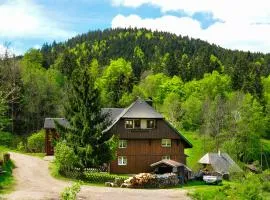 Ferienhaus Hinterzarten