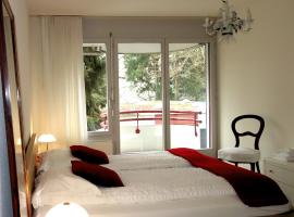 Exclusive Central Apartment，位于巴塞尔宾西宁城堡附近的酒店