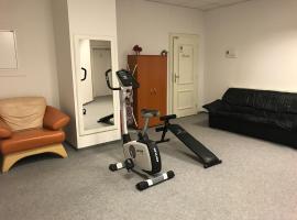 Hotel Vidam，位于日利纳的酒店