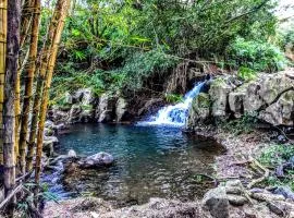 Hamakua Guesthouse