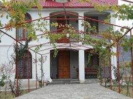 Villa "zepuri"，位于Dushetʼi的酒店