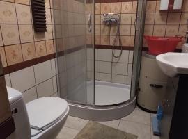 Zagroda Zalipie，位于戈斯蒂宁的酒店