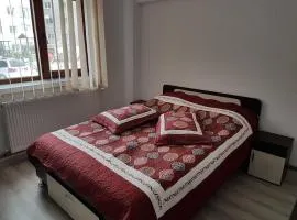 Apartament Mioritza 2B