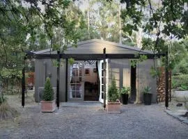Lily's Farm Studio