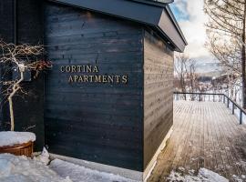 Cortina Apartment，位于小谷村白马八方尾根滑雪场附近的酒店