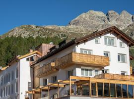 Conrad's Mountain Lodge，位于席尔瓦普拉纳的酒店