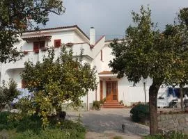 VILLA ELENA