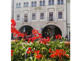 Hotel Zlatý Anděl，位于扎泰茨的酒店