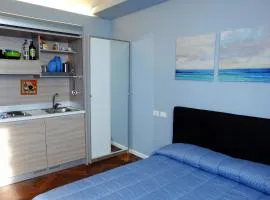 MONOLOCALE VICINO MILANO 2