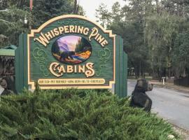 Whispering Pine Cabins，位于鲁伊多索的乡村别墅