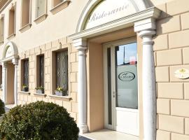 Hotel Soresina，位于Soresina的酒店