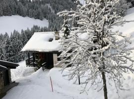 Chalet LYS Apartment 14 Rue Sigma，位于香普森的酒店