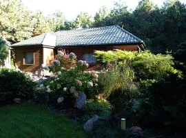 Uroczysko Ludwinowo na Podlasiu