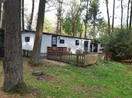 Chalet Hoenderloo Beuk